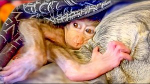 КТО ЭТО??? Степашка с Владом вот так СМОТРЯТ себя в интернете)))