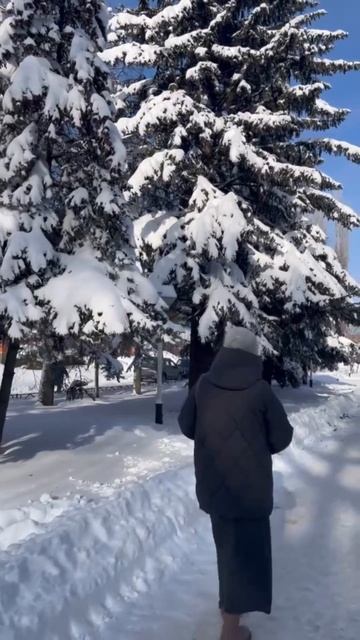 -26 ❄️❄️❄️морозный февраль