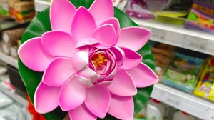 🪷🌿САД ОГОРОД в ГАЛАМАРТЕ🌿🪷февраль 2026