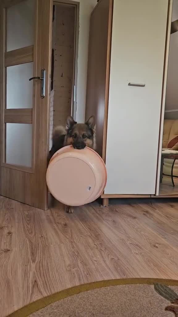 Кoгдa немношк подpос 😎