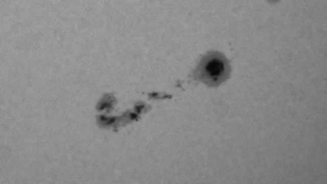 Солнце_AR14366_2026-02-05_0736UT_01