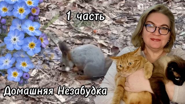 1 часть. Куче срочно нужно расслабиться и зафиксироваться❗️ смотреть онлайн