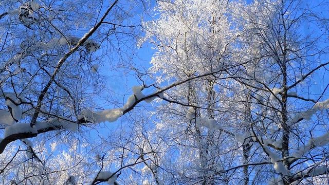 2026-02-05  ЗИМА — ВОЛШЕБНИЦА…