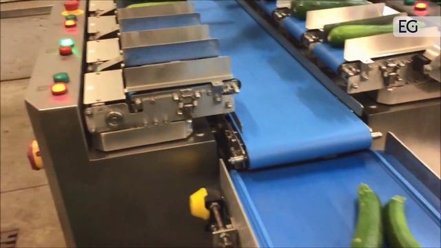 Станок для взвешивания овощей SW-LC12 Станок для взвешивания овощей SW-LC12