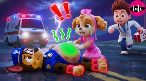 Щенячий патруль и Маршалл. Залипательное видео. Мультфильм для детей и малышей. Анимация 185