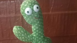 Повторяющий Кактус он поёт и умеет танцевать тем самым забавляя малыша.