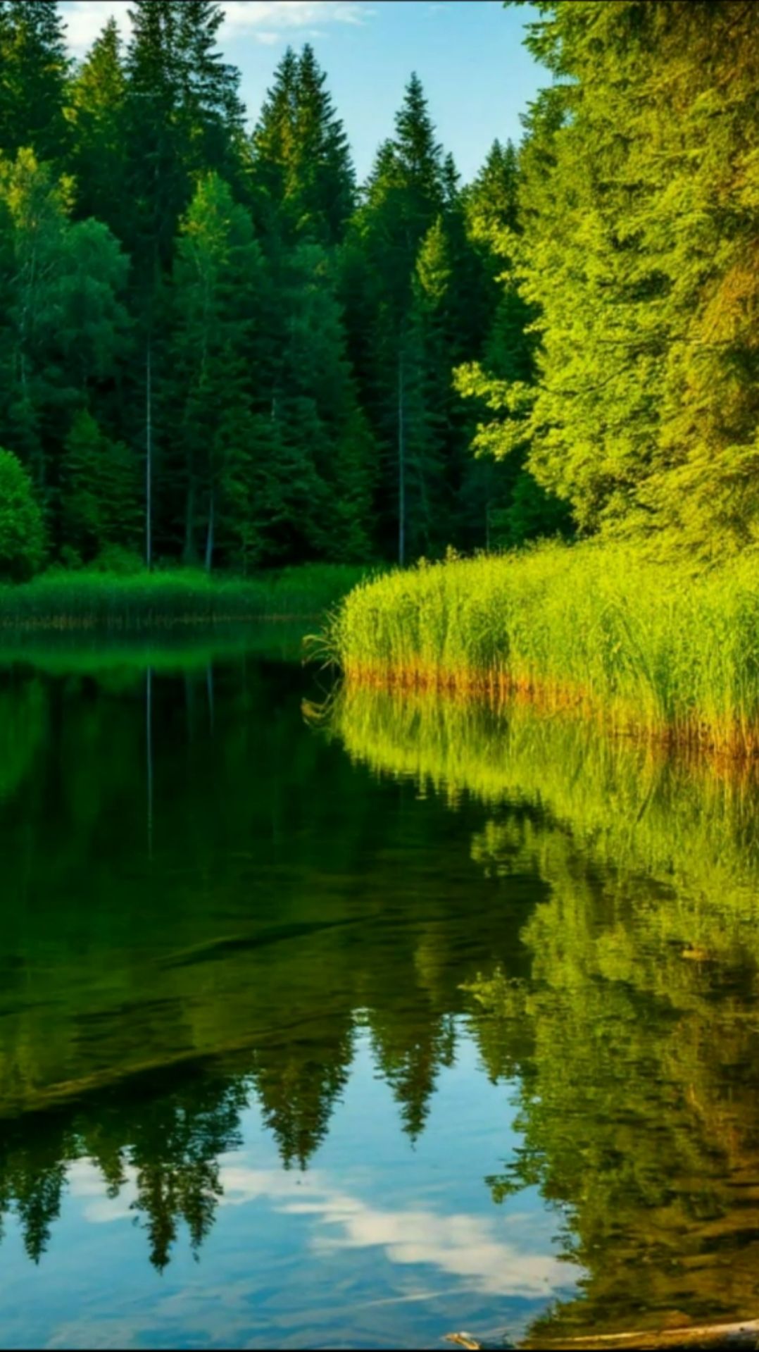 Красивая Природа смотреть онлайн