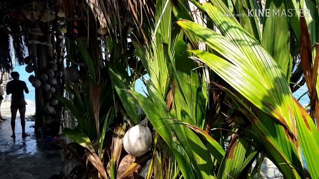 Остроа Панган Кох Рахам Таиланд 2019 год