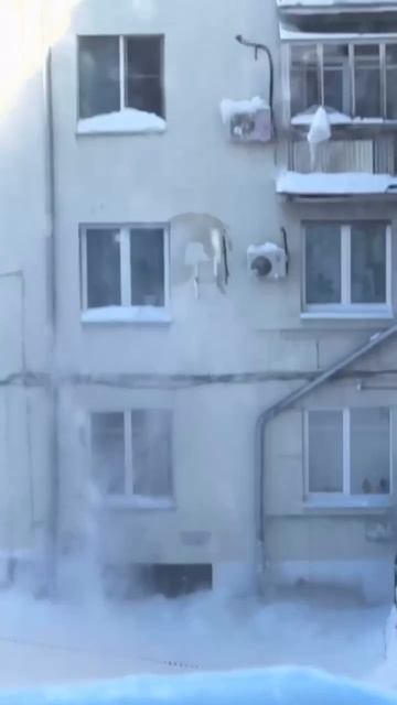 Битва дня из Нижнего Новгорода: коммунальщик и огромная сосулька против кондиционеров - 2:0 смотреть онлайн