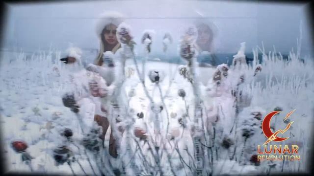 Сёстры Лунарис — Крылья из шкафа