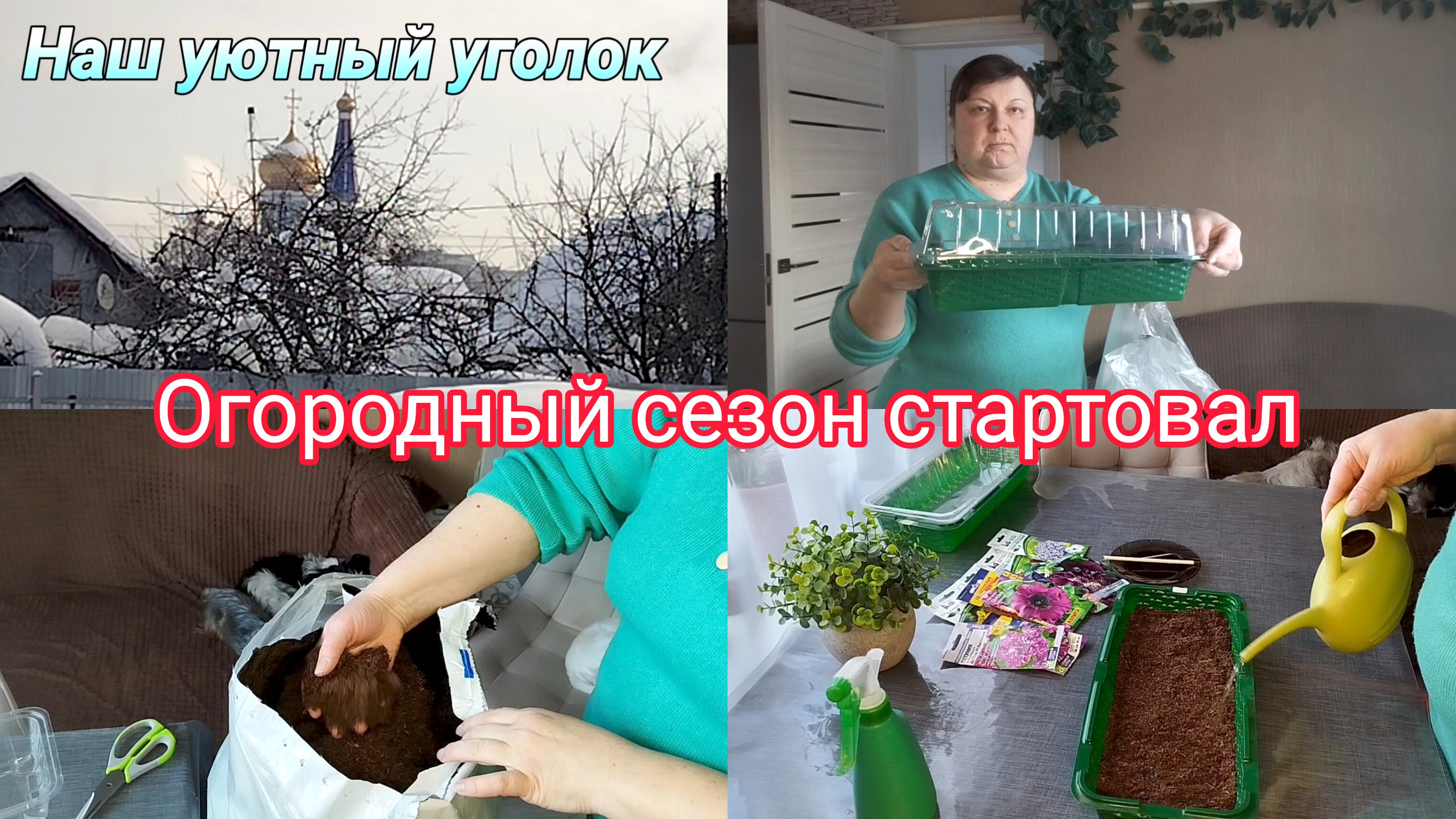 Время сажать петунии