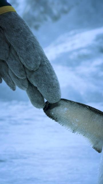 ВолГУ — твой правильный путь