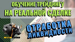 ТРЕЙДИНГ. СБОР ЛИКВИДНОСТИ. ТОРГУЮ ВМЕСТЕ С КРУПНЫМ ИГРОКОМ!