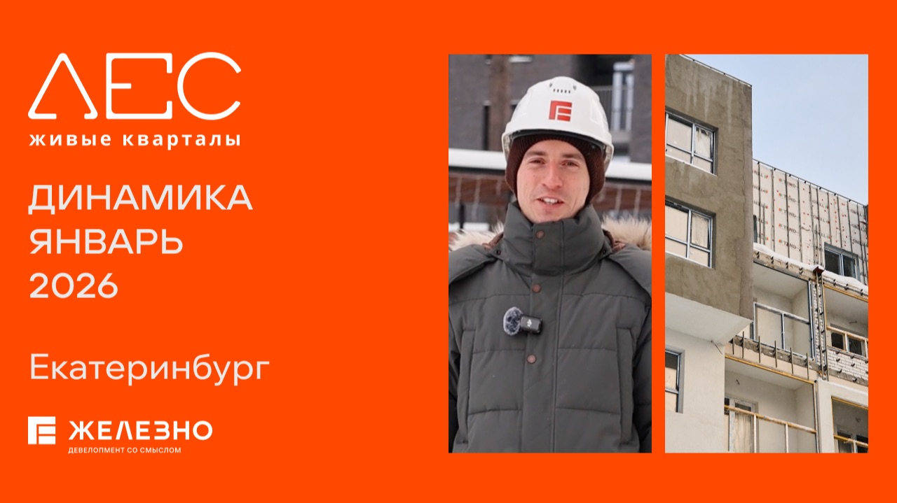 ЛЕС: ход строительства за январь