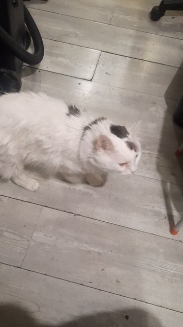 Вася хочет кушать