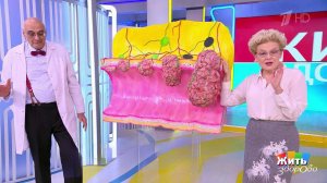 Флатуленция: норма или неудобство? Жить здорово! Фрагмент выпуска от 05.02.2026