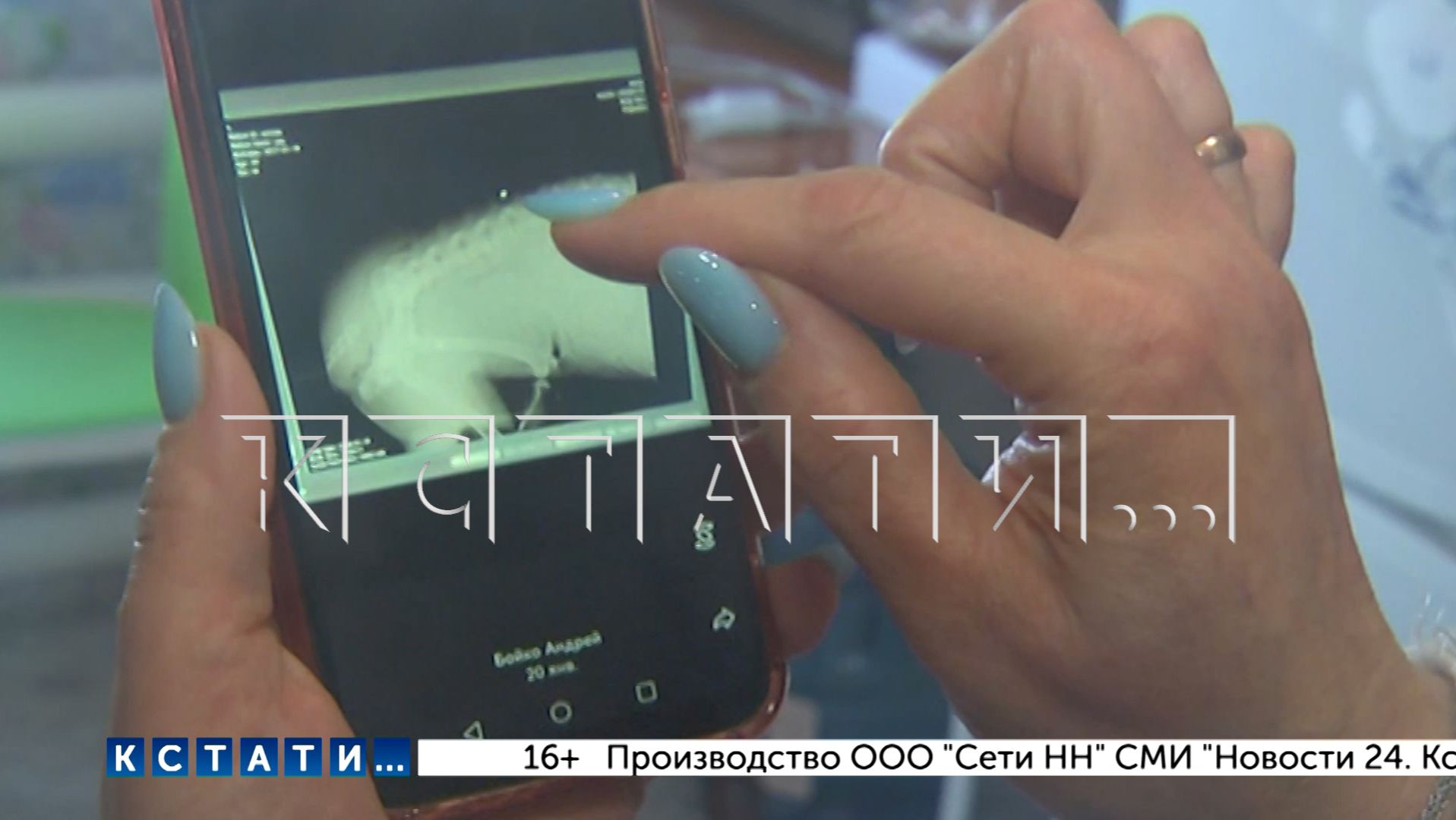 Неизвестные, вооруженные мощным пневматическим оружием, охотятся на домашних собак и кошек смотреть онлайн