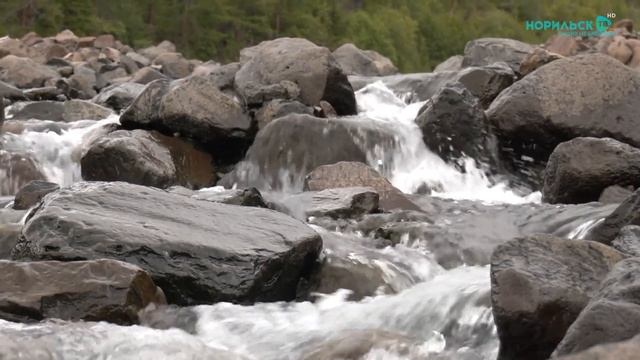 Норильск ТВ 3.2.2026 смотреть онлайн