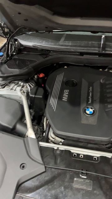 IMG_7093 смотреть онлайн