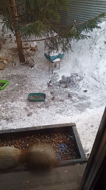 спокойный вечер