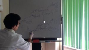 Генеологическое дерево