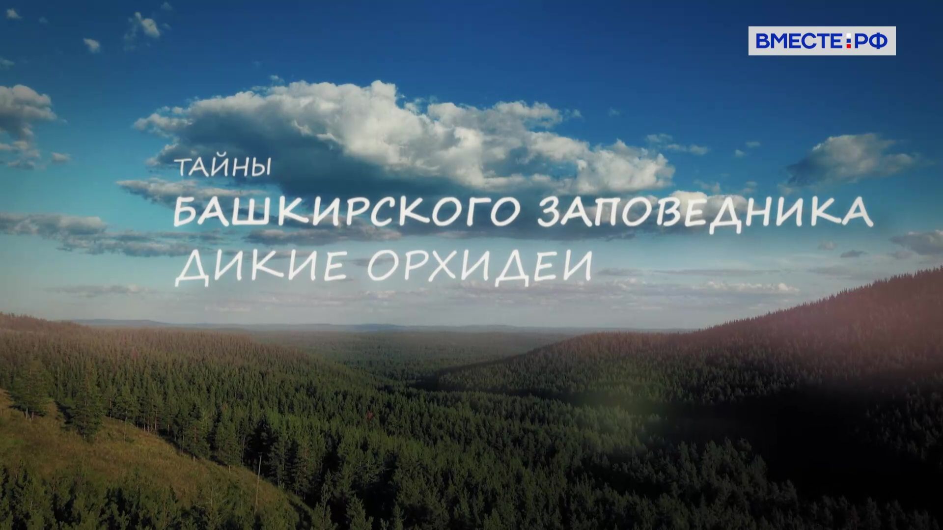 Тайны Башкирского заповедника. Дикие орхидеи смотреть онлайн