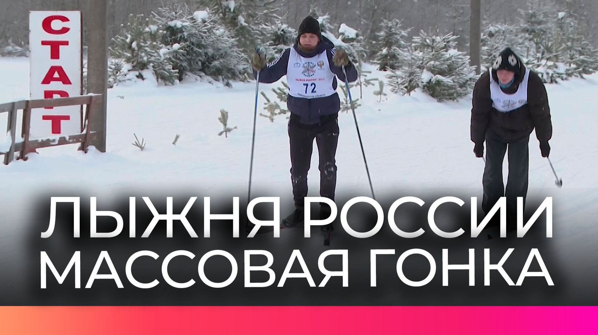 Новгородцев и любителей спорта приглашают принять участие в «Лыжне России» смотреть онлайн