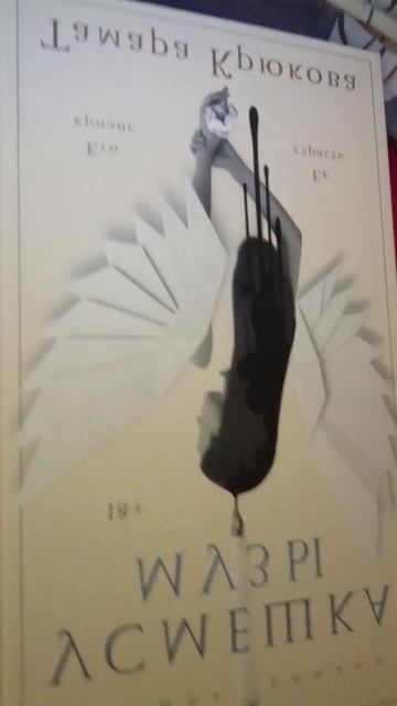 lv_0_20260205213204.mp4