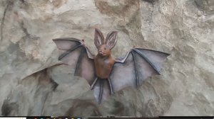 Бахилова поляна