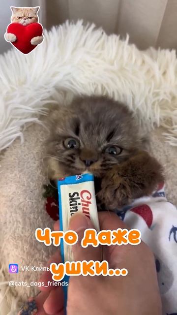 очень вкусно