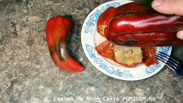 Лучшего СОРТА ПЕРЦА для ФАРШИРОВАНИЯ просто Нет! Перец Долма Турецкий — Dolma Biber