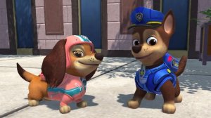Щенячий патруль. Ч5. Щенячий патруль Город приключений зовет. Щенячий патруль ИГРА. Собачий патруль.