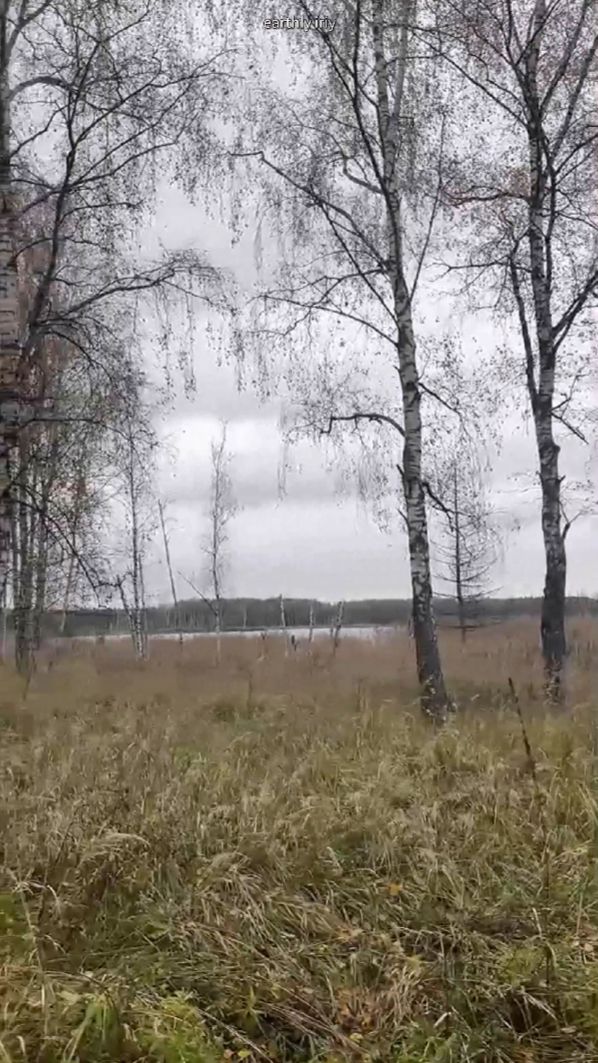 Природа восхитительна #земнойирий #лосиныйостров #лосинаябиостанция #природа