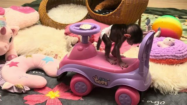 Николь не понимает что происходит? Вроде бы я на лугу, но цветочек сорвать не мону😃 смотреть онлайн