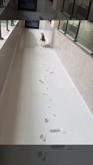 Тумпая скользкость, тумпой снег, вы ещё за всё ответите😡