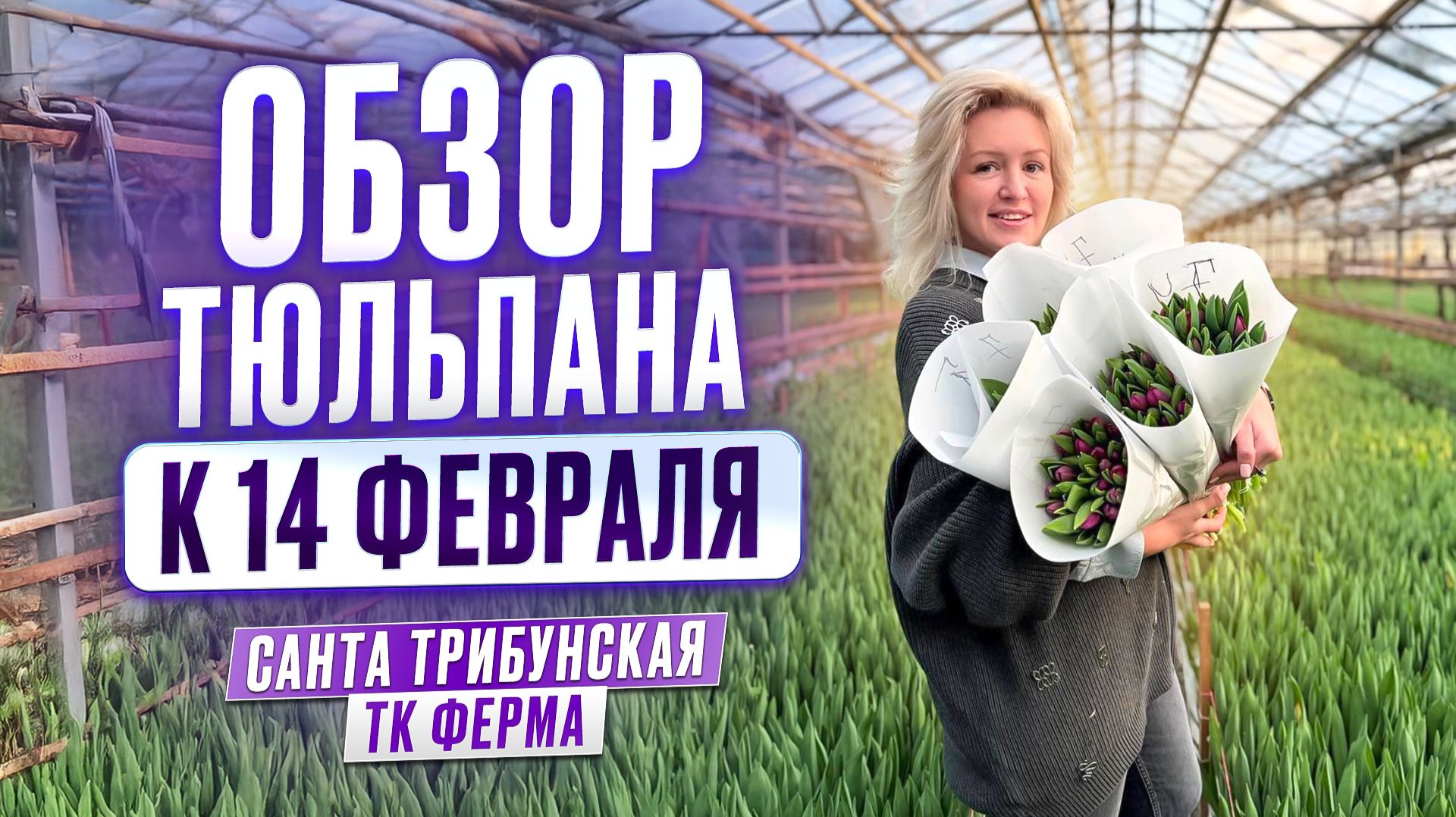 Отгружаем тюльпан к 14 февраля смотреть онлайн