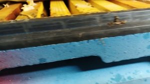 5.02.26. Идем проверить зимовник!