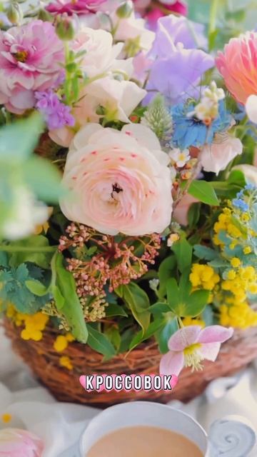 Нормальная жизнь….mp4