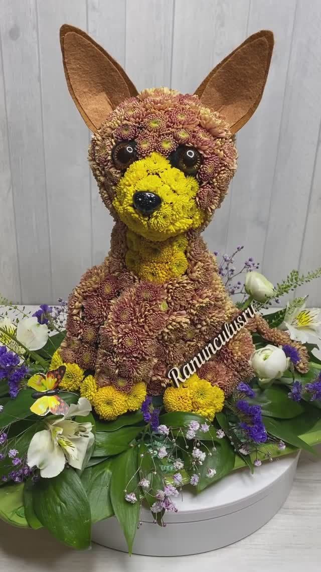 Фигурка собаки породы Чихуахуа из живых цветов смотреть онлайн