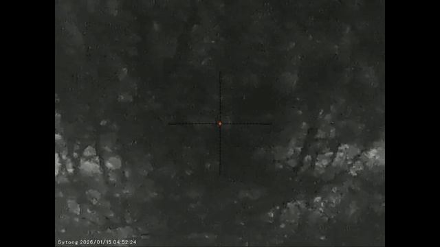 Четыре вечера охоты на шакала в Волгоградских степях, отвратительная погода для охоты смотреть онлайн