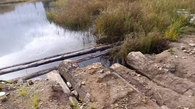 приключения на ниве