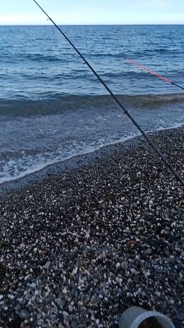 Рыбалка, рекламу делать легко, море, солнце, отдых, где? в комментах!!!