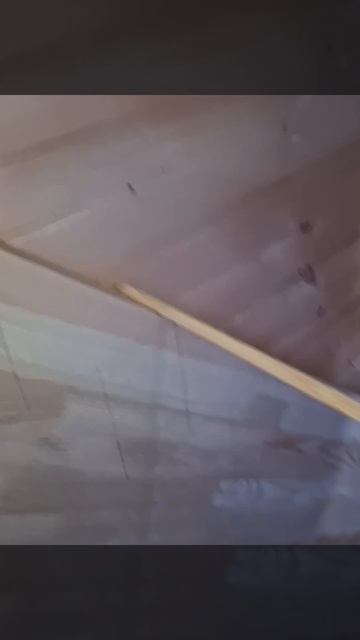 1000047913.mp4 (Собака наблюдает за устройством лестницы на 2 этаж в доме А-фрейм)