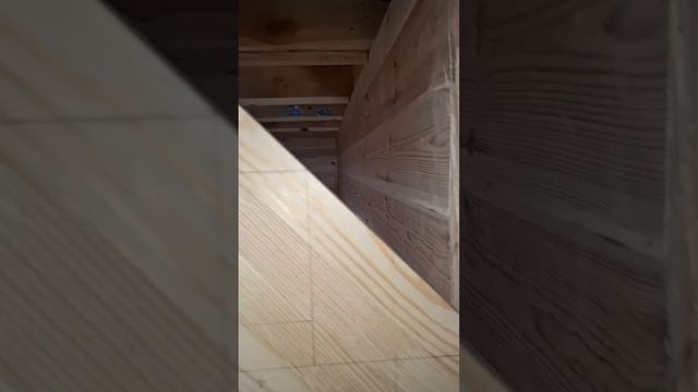 1000047877.mp4 (Собака наблюдает за устройством лестницы на 2 этаж в доме А-фрейм)