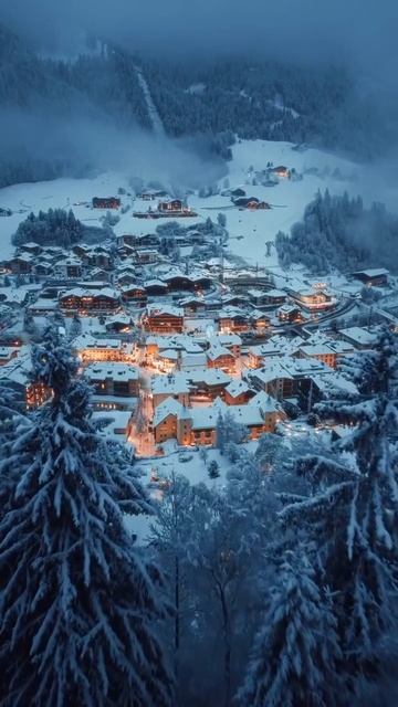 MOV_20260206_202914_071.mp4