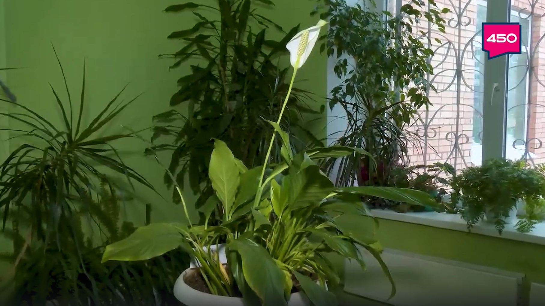 Праздник мыслей. Такое утро