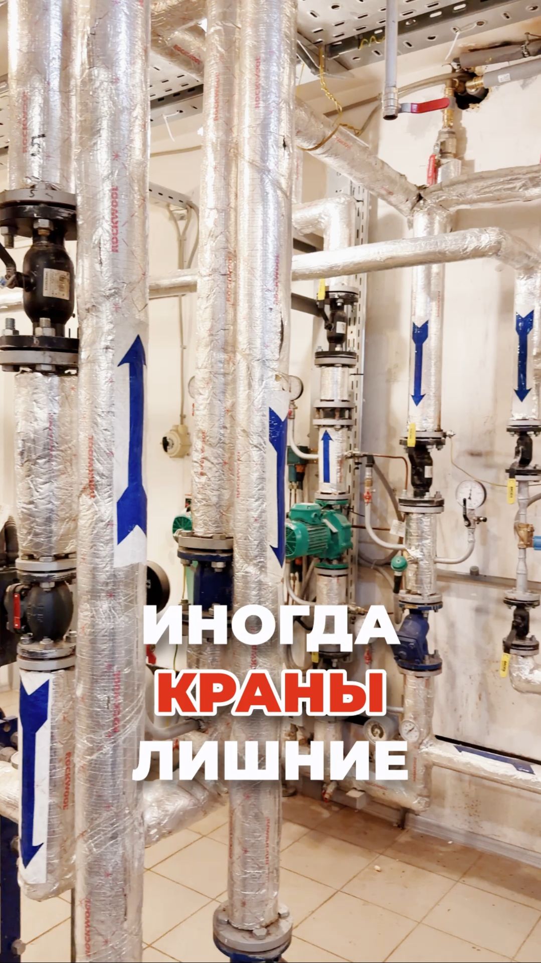 Всегда НУЖНЫ?