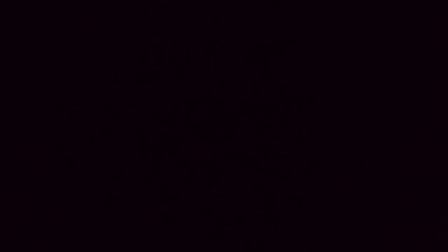 Акафист святой Блаженной Ксении Петербургской