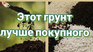 Качественная рассада начинается с грунта