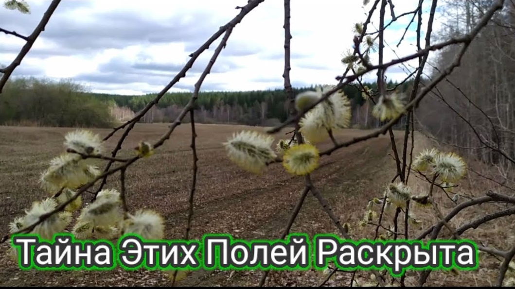 МЕТАЛЛОКОП!!! Такого количества металла я не ожидал. 😁И так бывает!!! смотреть онлайн